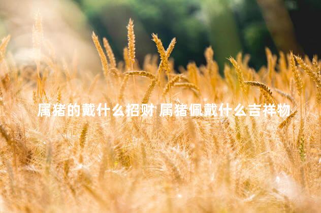 属猪的戴什么招财 属猪佩戴什么吉祥物